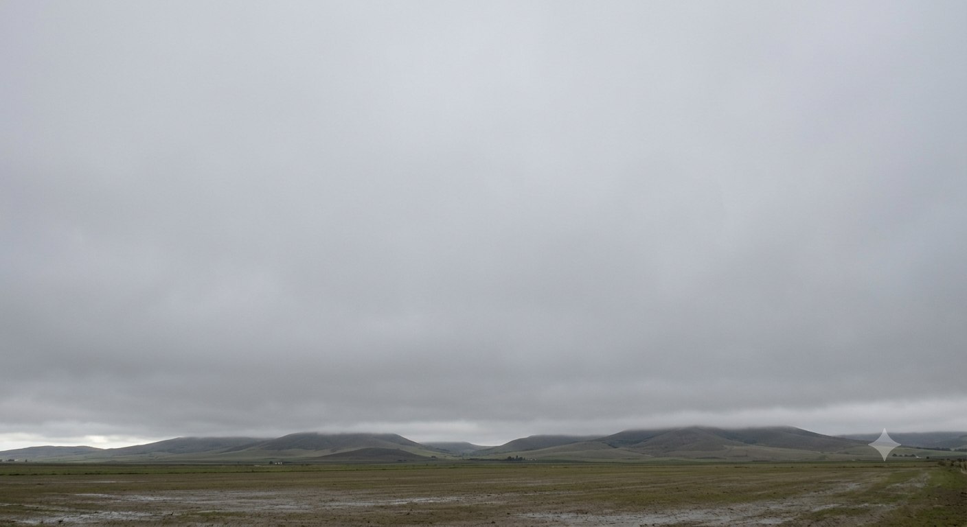 Stratus