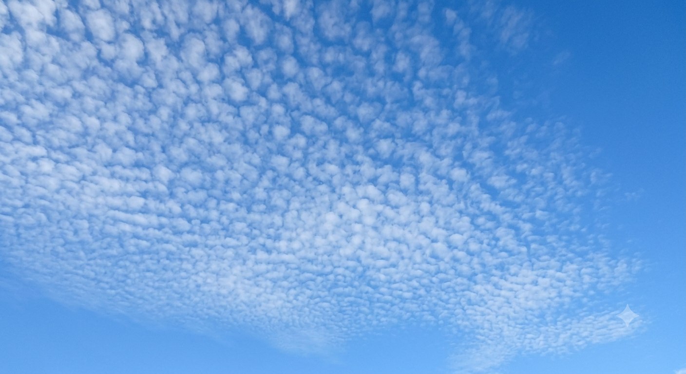 Cirrocumulus